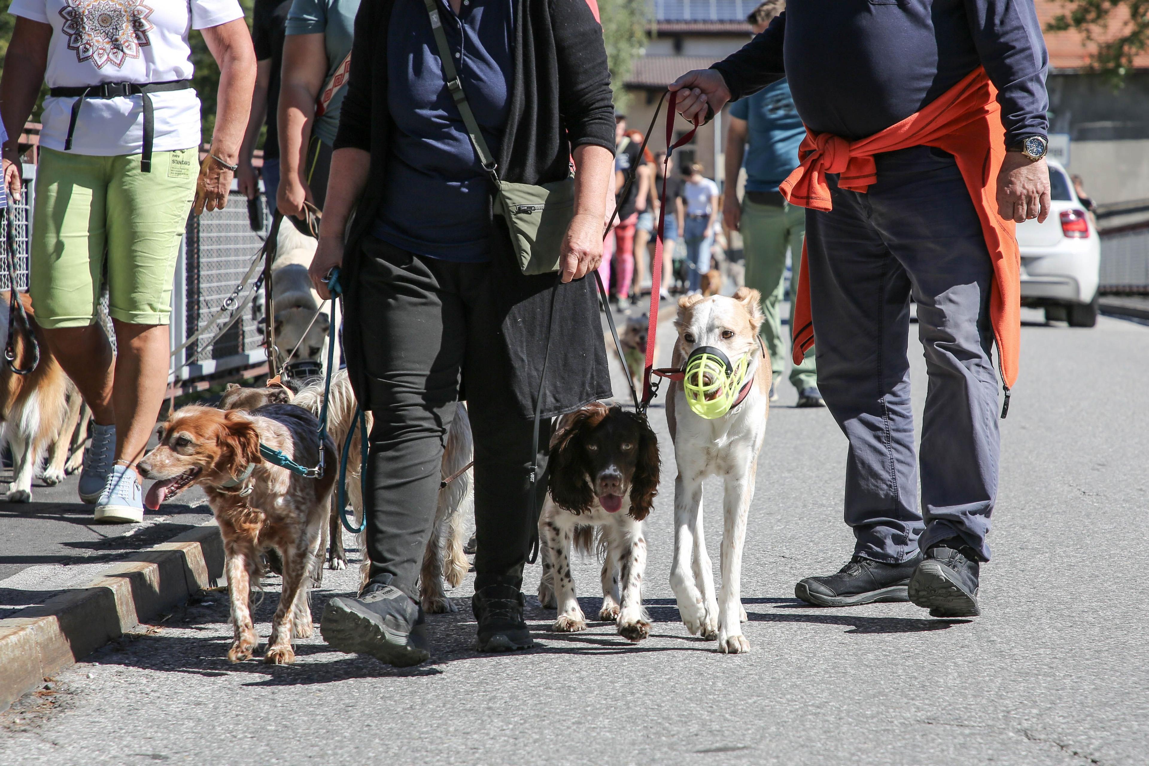 social walk 1.jpg